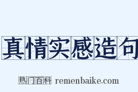 真情实感造句是什么意思的图片